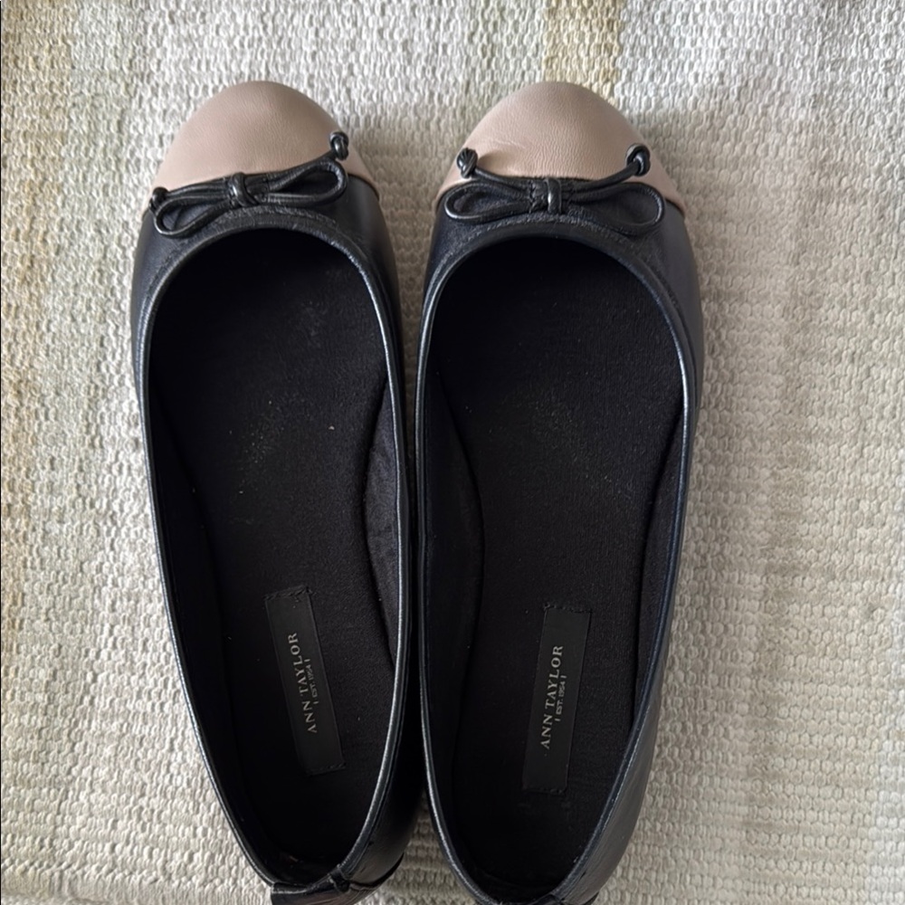 Ann Taylor Leather Ballet Flats